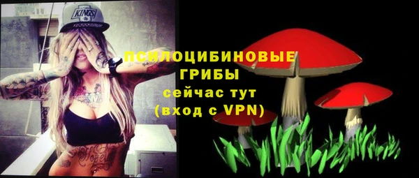 гашик Струнино
