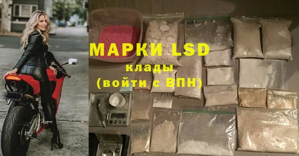 гашик Струнино